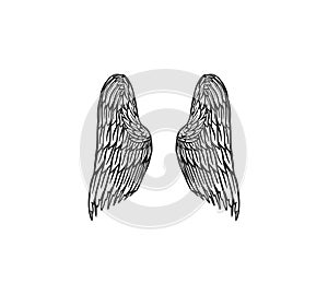 Set of Angel wings in vintage style. Template for tattoo and emblems, t-shirts and logo. Emblem for stickers. Engraved