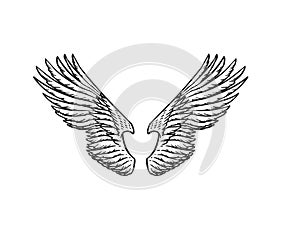 Set of Angel wings in vintage style. Template for tattoo and emblems, t-shirts and logo. Emblem for stickers. Engraved