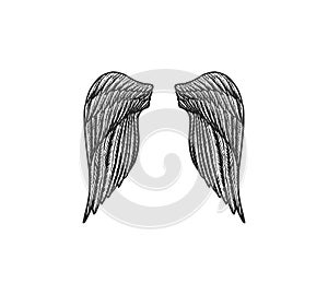 Set of Angel wings in vintage style. Template for tattoo and emblems, t-shirts and logo. Emblem for stickers. Engraved