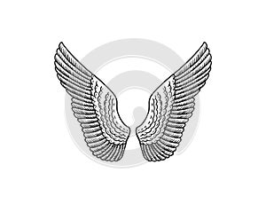 Set of Angel wings in vintage style. Template for tattoo and emblems, t-shirts and logo. Emblem for stickers. Engraved