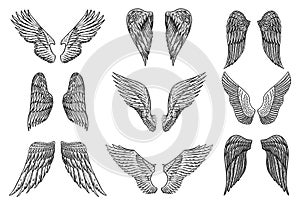 Set of Angel wings in vintage style. Template for tattoo and emblems, t-shirts and logo. Emblem for stickers. Engraved