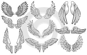 Un impostato composto da ali d'angelo. ali piume. nero bianco vettore illustrazioni. tatuaggio 