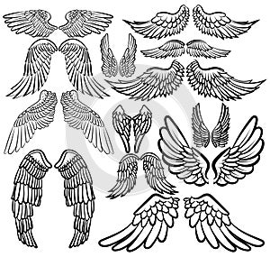 Set of angel wings. Wings collection with feathers. Black white vector illustration. Tattoo.