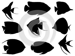 Set of angle fishes silhouette vector art on a white background