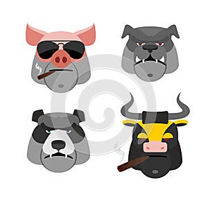 Set of angry animals. Head of a Pig and bull. Bad Bear and Bull