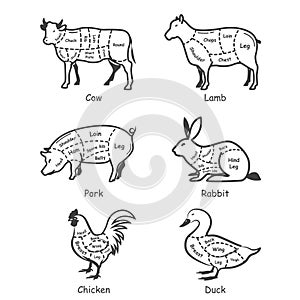 set of animal cuts. Vector illustration decorative design
