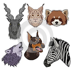 Set of animal heads isolated on a white background. Vector graphics