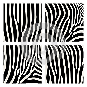 Set of animal pattern. Imitation print of skin of zebra. Black stripes on gray background.