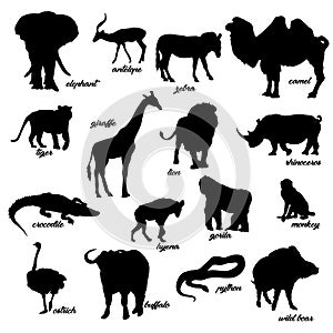 A set of animal silhouettes.