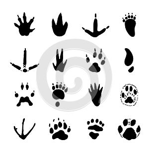 Set of Animal Spoor Footprints element Icon Vector illustration. photo