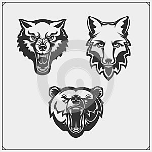 Set of animals. Bear, wolf and fox.