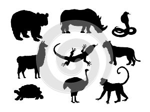 Set of animals silhouette Lizard Llama Monkey Ostrich Panda Rhinoceros Snake Tiger Tortois