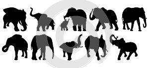 Set of animals. Vector illustration. Black elephants  on a white background.