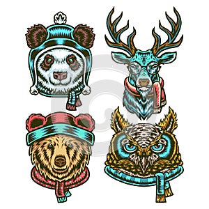 Set of animals in winter