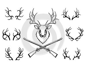 Set of antlers with a trophy and guns