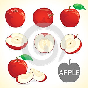 Set of apple fruit in various styles vector format