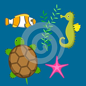 Set aquatic funny sea animals underwater creatures cartoon characters shell aquarium sealife vector illustration.