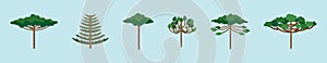 Set of araucaria tree cartoon icon design template with various models. vector illustration isolated on blue background