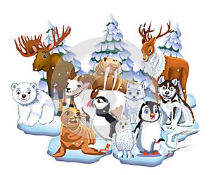 Set of arctic animals like seal, walrus, moose, reindeer, penguin, polar bear, fox