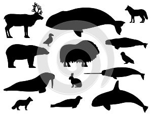Set of arctic animals silhouettes