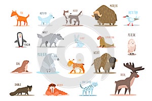 Set of Arctic and Antarctic animals. Fox, wolf, rabbit, penguin, sable, walrus, bear, husky, musk ox, tern, elephant