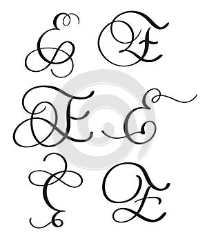 Set of art calligraphy letter E with flourish of vintage decorative whorls. Vector illustration EPS10