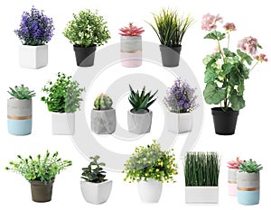 Set of artificial plants in flower pots isolated