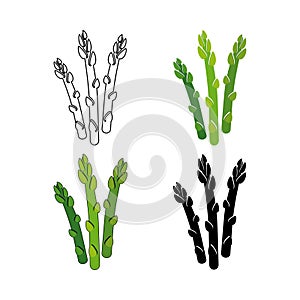 A set of asparagus icons. Color and black-and-white icons, silhouette and outline. Delicious and healthy asparagus. Vegetarianism.