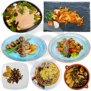 Set of assorted dishes with mushrooms