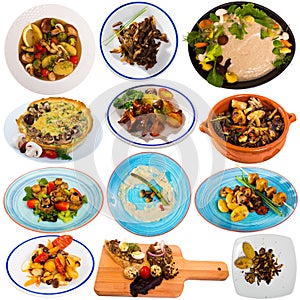 Set of assorted dishes with mushrooms