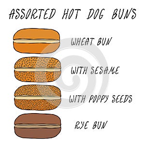 Set of Assorted Hot Dog Buns. Wheat Bun with Sesame, Poppy Seeds, Rye Bun. For Fast Food, Restaurant or Bar Menu. Hand