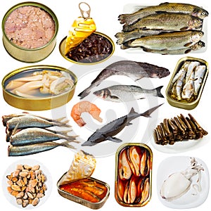 Set of assorted raw fish and seafoods