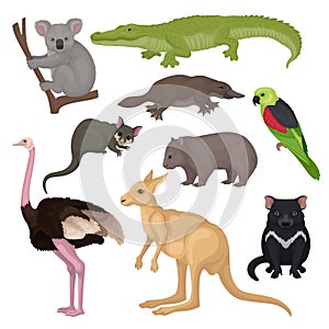 Set of Australian animals and birds. Wild creatures. Fauna theme. Detailed vector elements for zoology book or poster