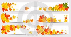 Set of autumn banners with colorful leaves. Back t