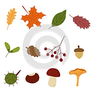 Set of autumn elements, leaves, berry, mushrooms, doodle style vector