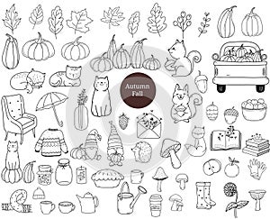 Set autumn fall with animal cartoon, bundle, pumpkins,hand drawn,doodle, clipart, vector illustration,