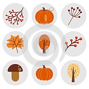 Set of autumn icons in a round