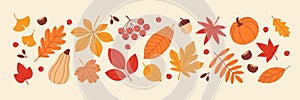 Set of autumn leaves and berries in simple flat style