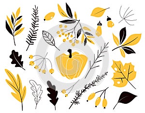 Set of autumn leaves in cartoon style.Vector with doodle leafs. Autumn collection. Flower graphic design. Hand drawn