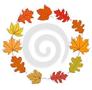 Set of autumn leaves in the form of a circle. Vector illustration isolated on white background