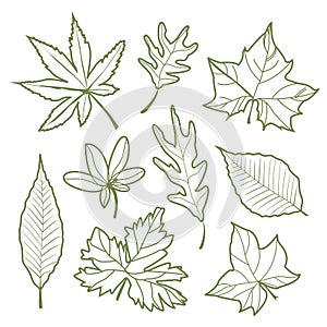 Set of autumn leaves Nature silhouette Icon line Vector illustration