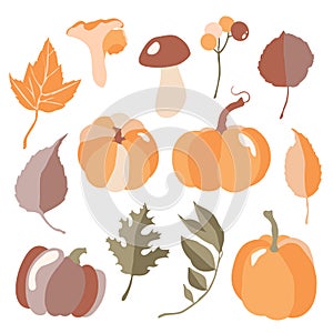 Set of autumn leaves and pumpkins. Fall set. Vector illustration.