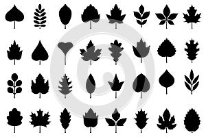 Set of autumn leaves silhouettes . Geometric icons set. Vector design elements on white background