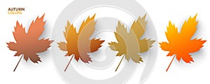 Set of autumn maple leaves. Soft autumnal color gradients for fall season graphic designs.