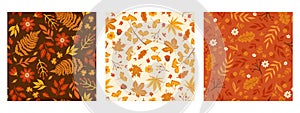 Set of autumn seamless patterns with leaves, berries, flowers. Vector graphics