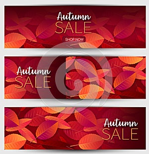 A set of autumn seasonal banners. For advertisemnt campaigns. Shopping sale discount promo. Orange and red leaves on the backgroun