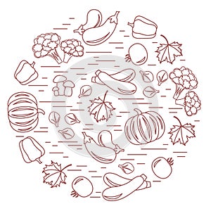 Set of autumn seasonal vegetables in circle. Tomato, pepper, zucchini and other fall vegetables for