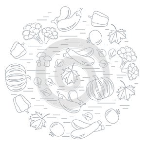 Set of autumn seasonal vegetables in circle. Tomato, pepper, zucchini and other fall vegetables for