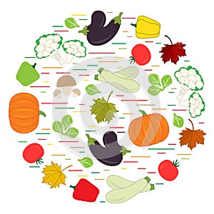Set of autumn seasonal vegetables in circle. Tomato, pepper, zucchini and other fall vegetables for