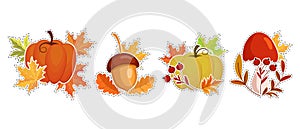 Set of autumn stickers, pumpkins, mushrooms and acorns with autumn leaves and rowan. Illustration, icons, template vector